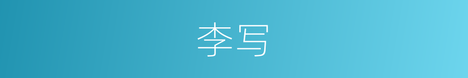 李写的同义词