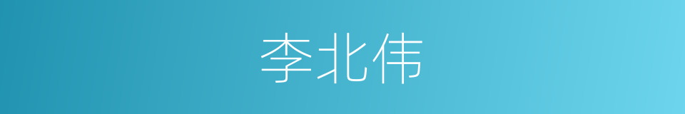 李北伟的同义词