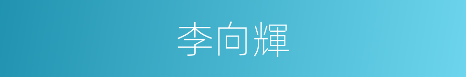 李向輝的同義詞