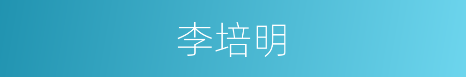 李培明的同义词