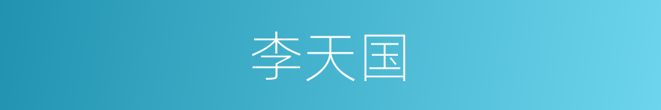 李天国的同义词