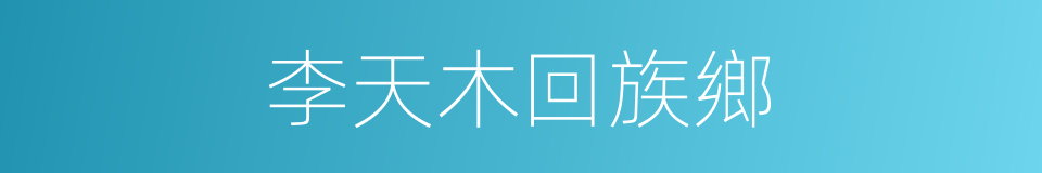李天木回族鄉的同義詞