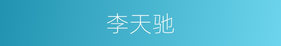 李天驰的同义词