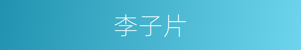 李子片的同义词