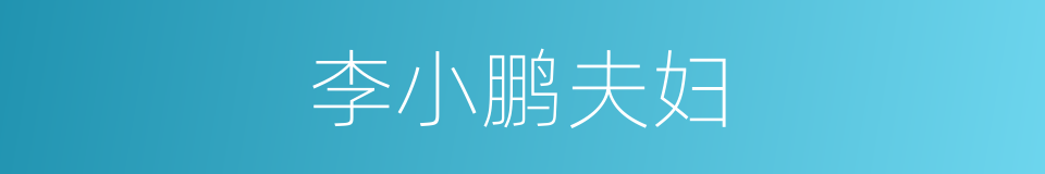 李小鹏夫妇的同义词