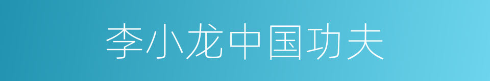 李小龙中国功夫的同义词