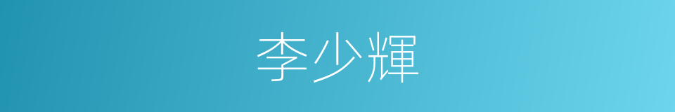 李少輝的同義詞