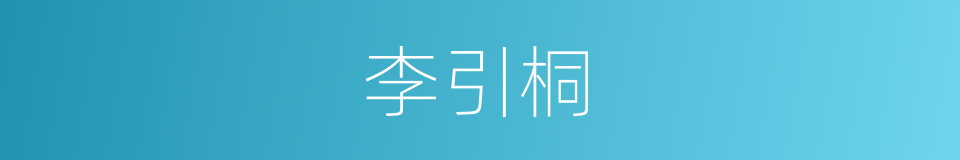 李引桐的同义词