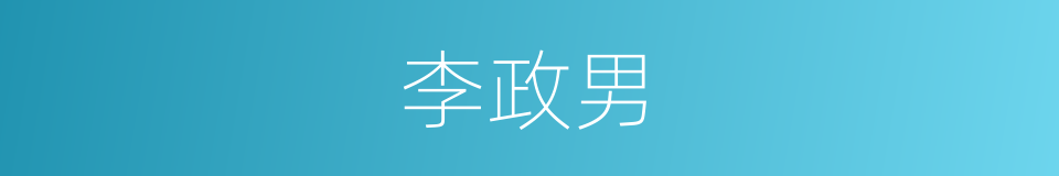 李政男的同义词