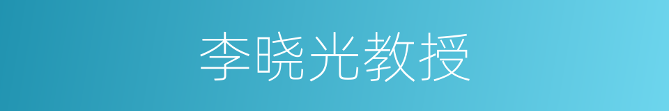 李晓光教授的同义词