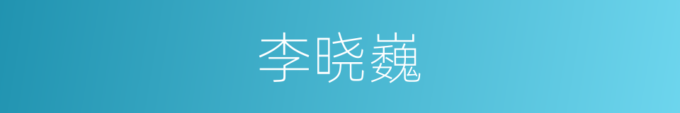 李晓巍的同义词