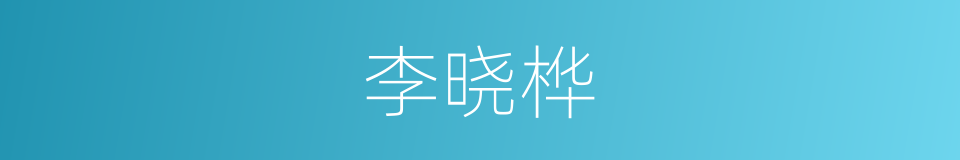 李晓桦的同义词