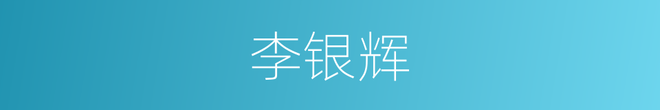 李银辉的同义词