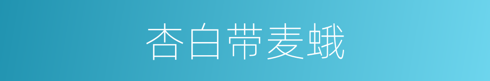 杏白带麦蛾的同义词