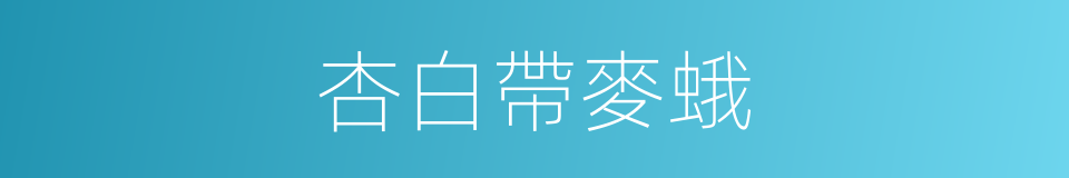 杏白帶麥蛾的同義詞