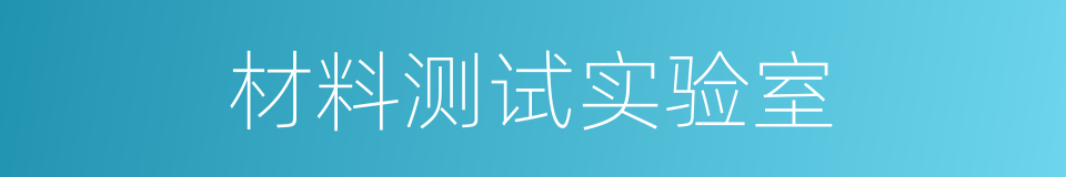 材料测试实验室的同义词