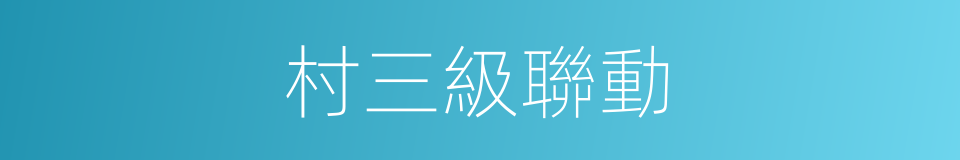 村三級聯動的同義詞