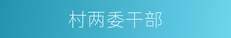 村两委干部的同义词