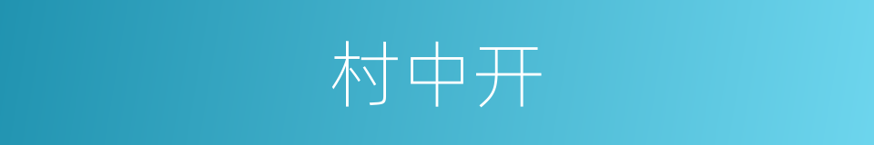 村中开的同义词