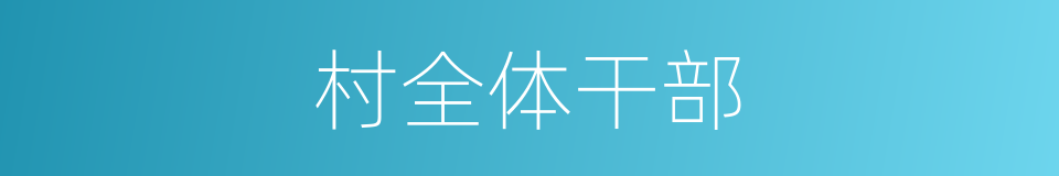 村全体干部的同义词