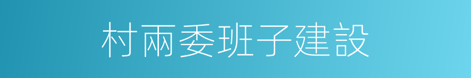 村兩委班子建設的同義詞