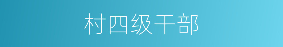 村四级干部的同义词