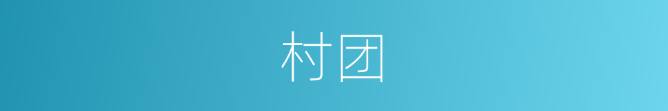 村团的同义词