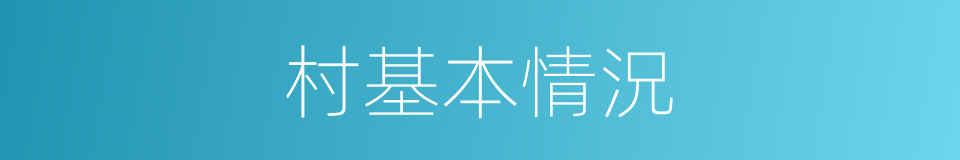 村基本情況的同義詞