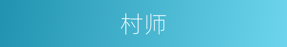 村师的同义词