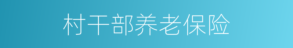 村干部养老保险的同义词