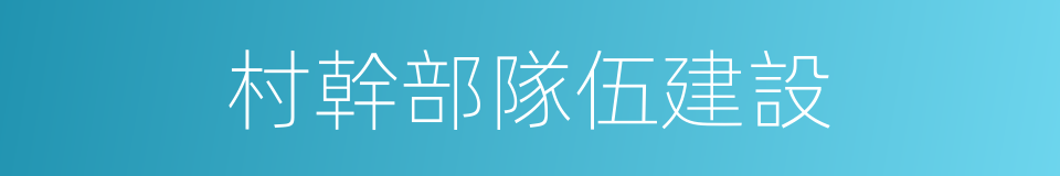 村幹部隊伍建設的同義詞