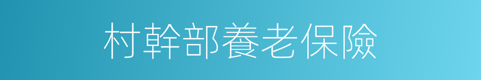 村幹部養老保險的同義詞