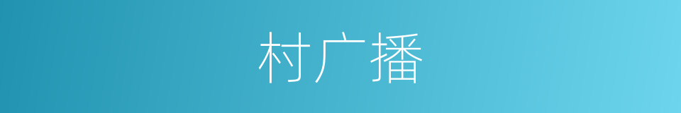 村广播的同义词