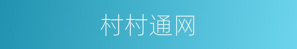 村村通网的同义词