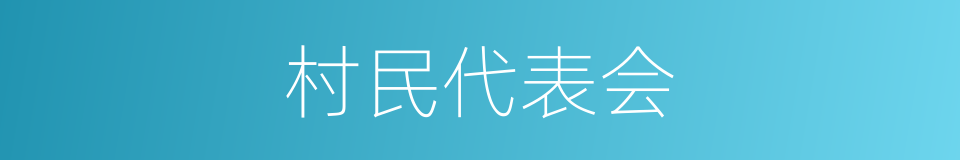 村民代表会的同义词