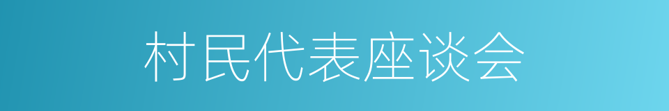 村民代表座谈会的同义词