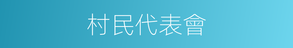 村民代表會的同義詞