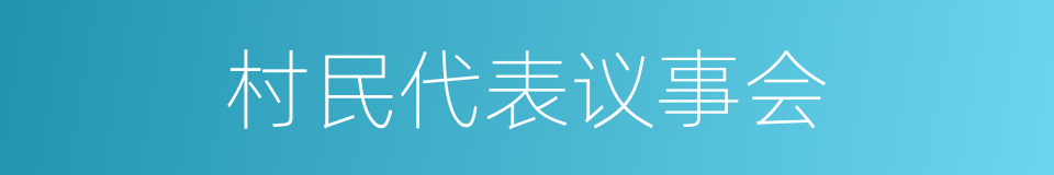 村民代表议事会的同义词