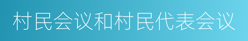 村民会议和村民代表会议的同义词