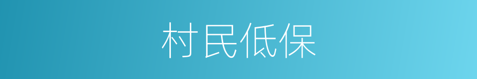 村民低保的同义词