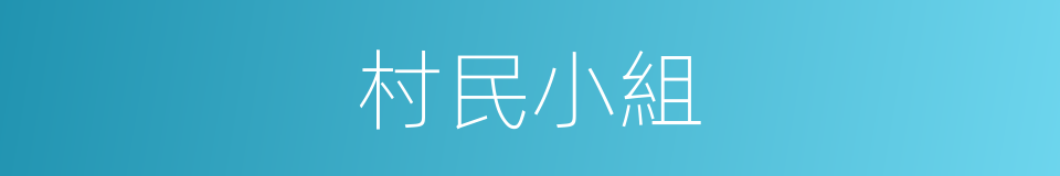 村民小組的同義詞