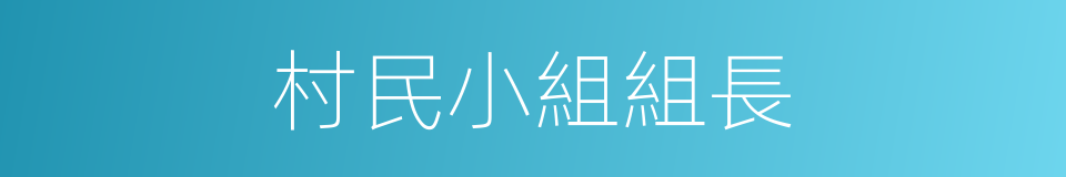 村民小組組長的同義詞