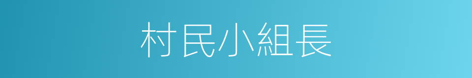 村民小組長的同義詞