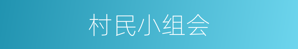 村民小组会的同义词