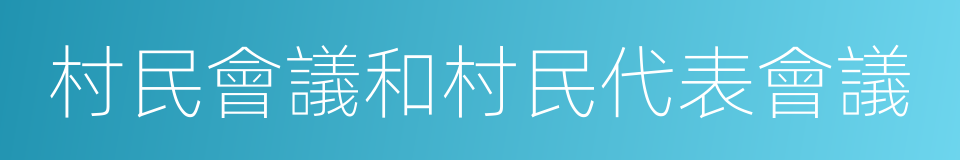 村民會議和村民代表會議的同義詞