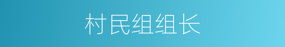 村民组组长的同义词