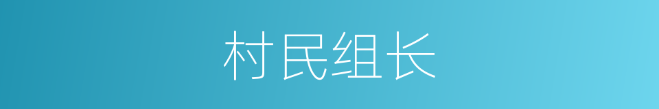 村民组长的同义词