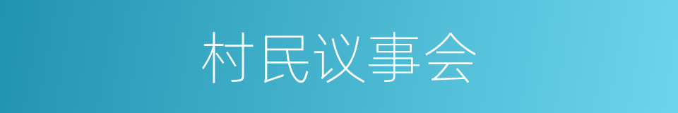 村民议事会的同义词