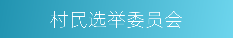 村民选举委员会的同义词