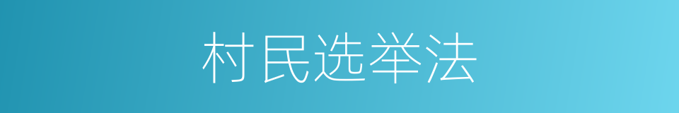 村民选举法的同义词